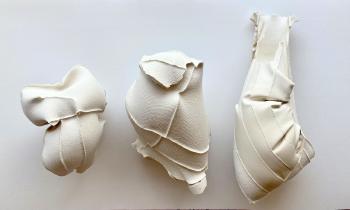 The Mollusk