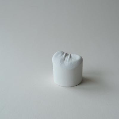 RL-00/15-1