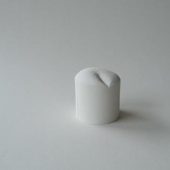 RL-06/08-1