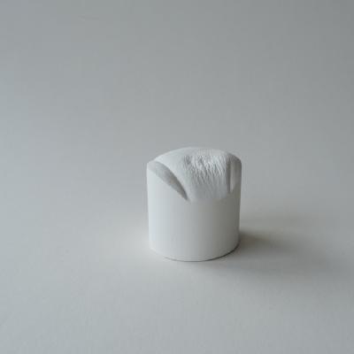 RL-03/06-1